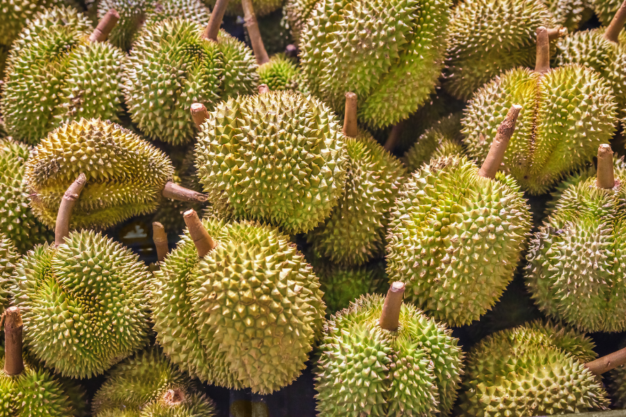 Trái cây tươi