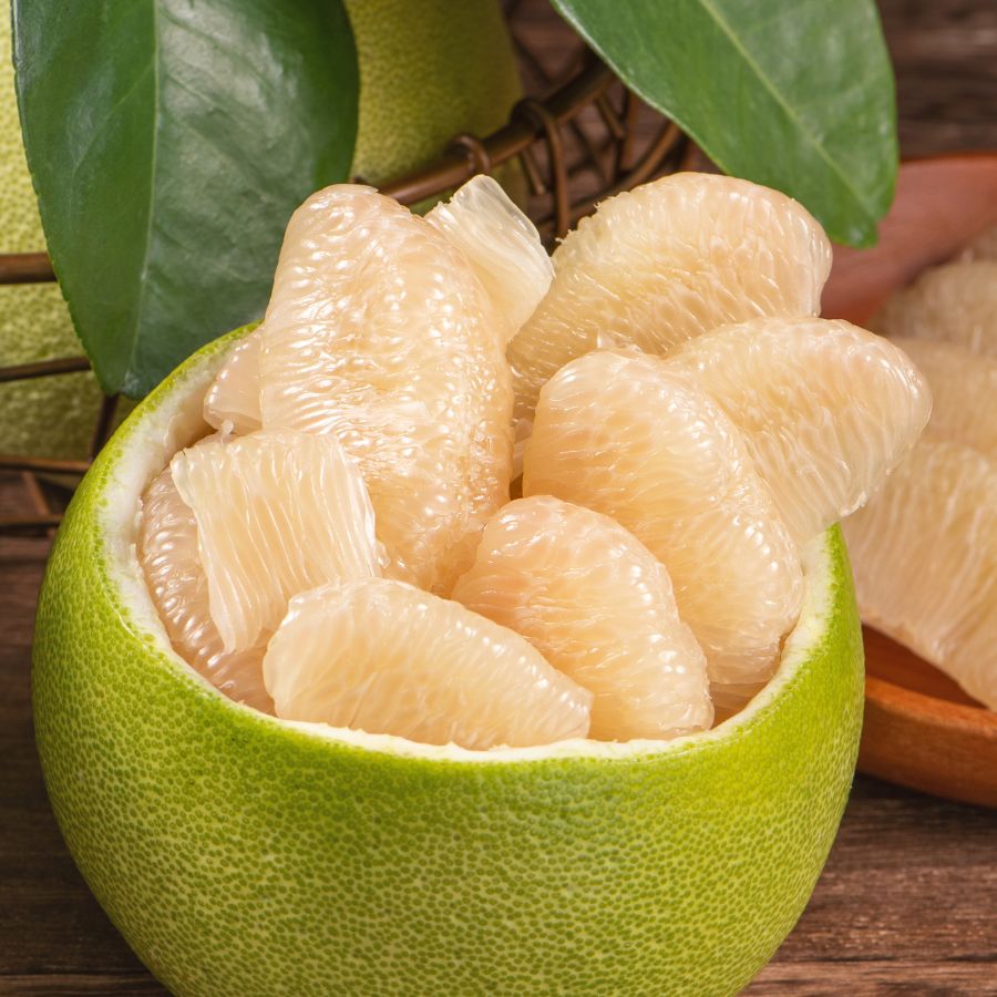 Bưởi
