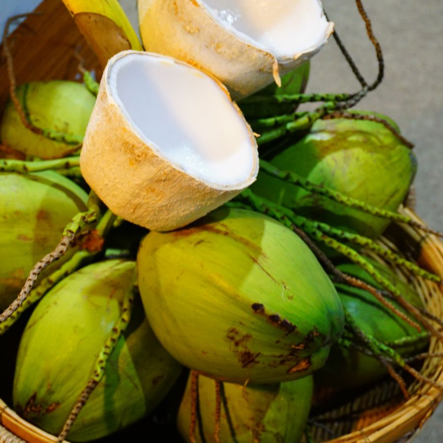 Dừa tươi