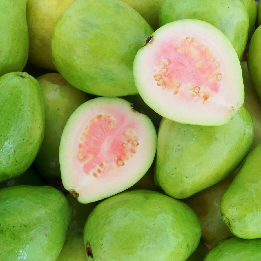 ổi tấn phát food